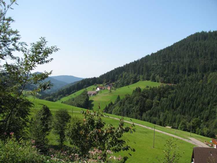 Gaestehaus Gerda Bad Peterstal-Griesbach Esterno foto
