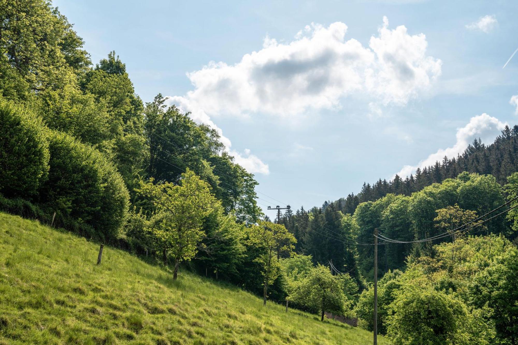 Gaestehaus Gerda Bad Peterstal-Griesbach Esterno foto